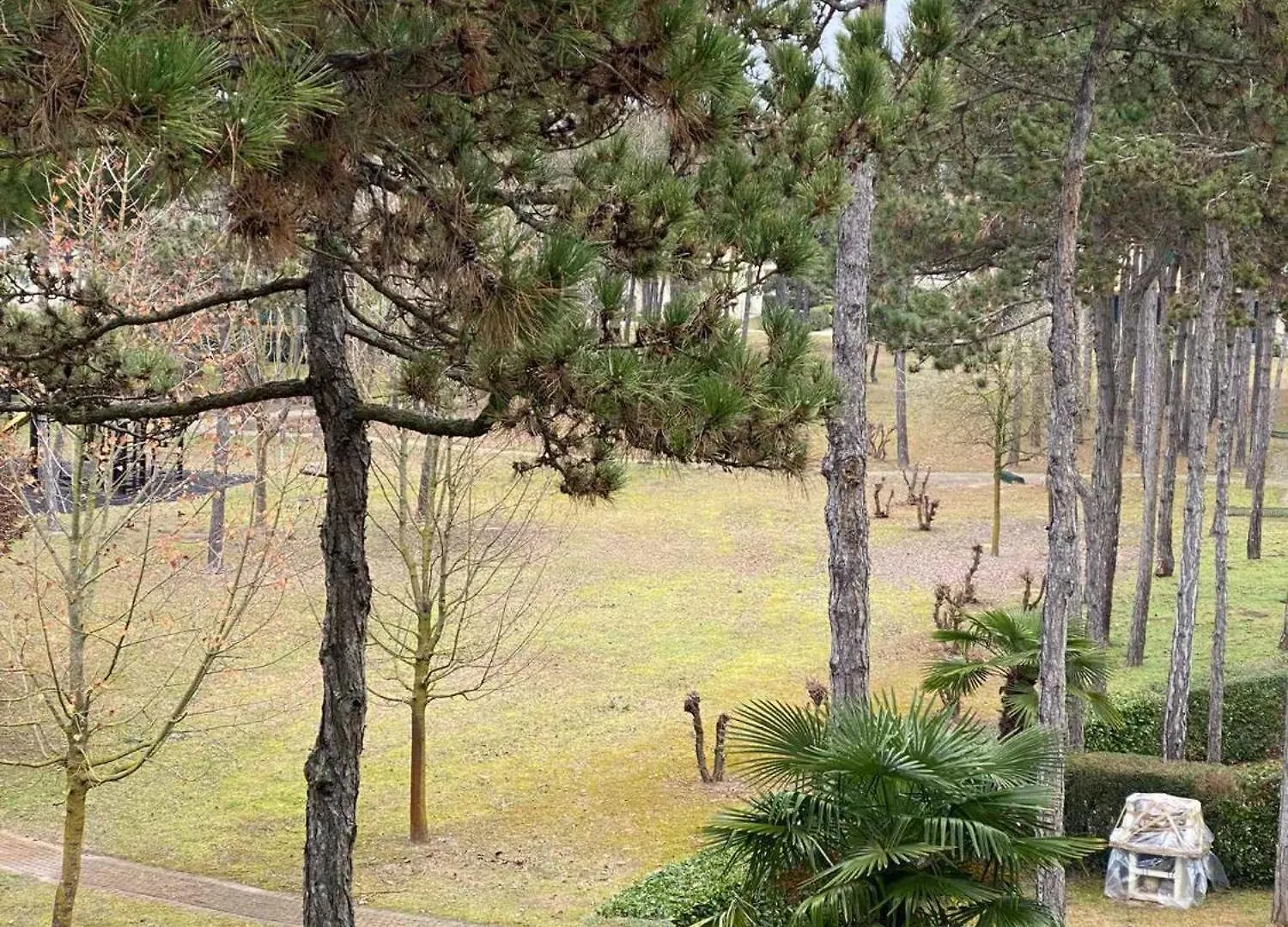 Apartments In Bibione 49970